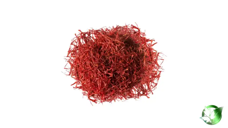Bulk Super Negin Saffron | Suppliers | Wholesale | ParsaFood Global